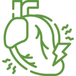 Obesity and Heart disease