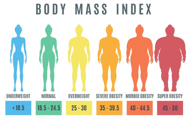 BMI CALULATOR NBC